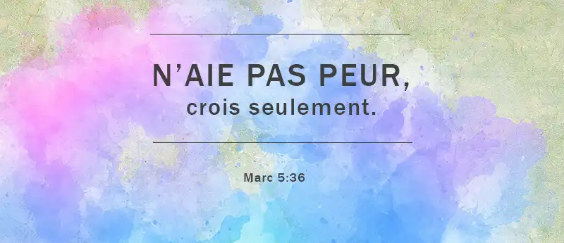Citation